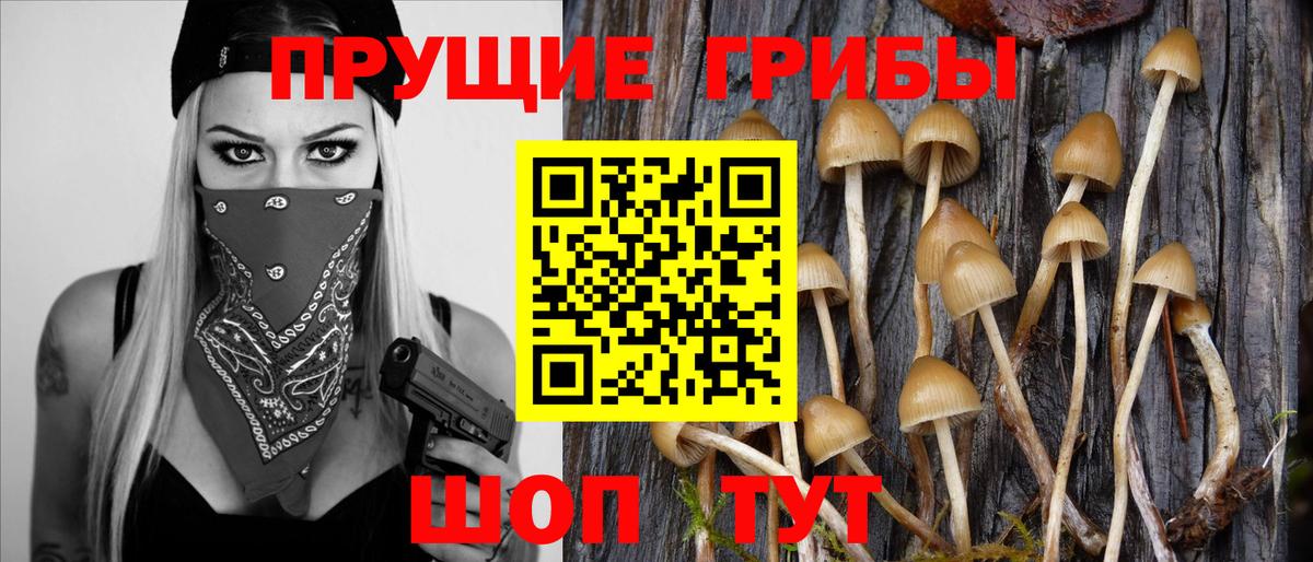 Псилоцибиновые грибы мухоморы Торжок